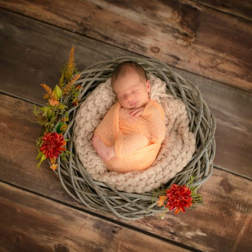 Neugeborenenfotografin - Birte Wührmann Forografie