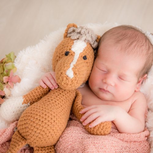 emotionale Newbornfotos und Babyfotos von professioneller Babyfotografin Birte Wührmann in Verden und Bremen mit Fotostudio in Achim